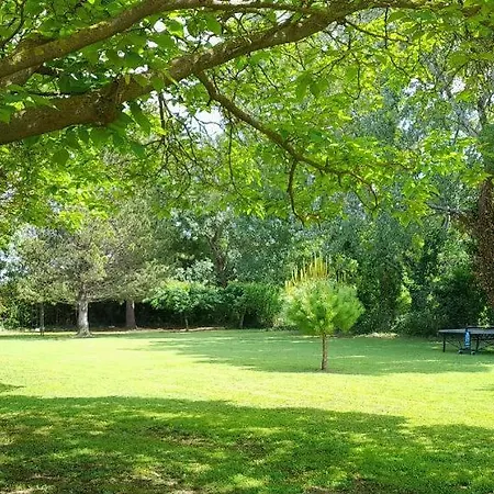 Des Vergers Affittacamere Salon-de-Provence